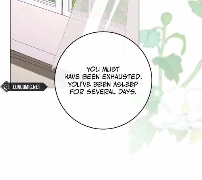 Royal Shop of Young Lady Chapter 188 Online - página 13