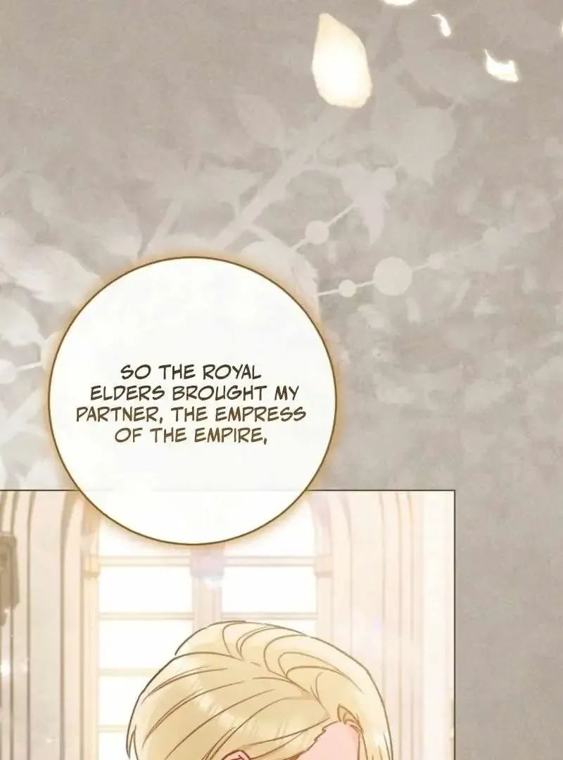 Royal Shop of Young Lady Chapter 189 Online - página 18