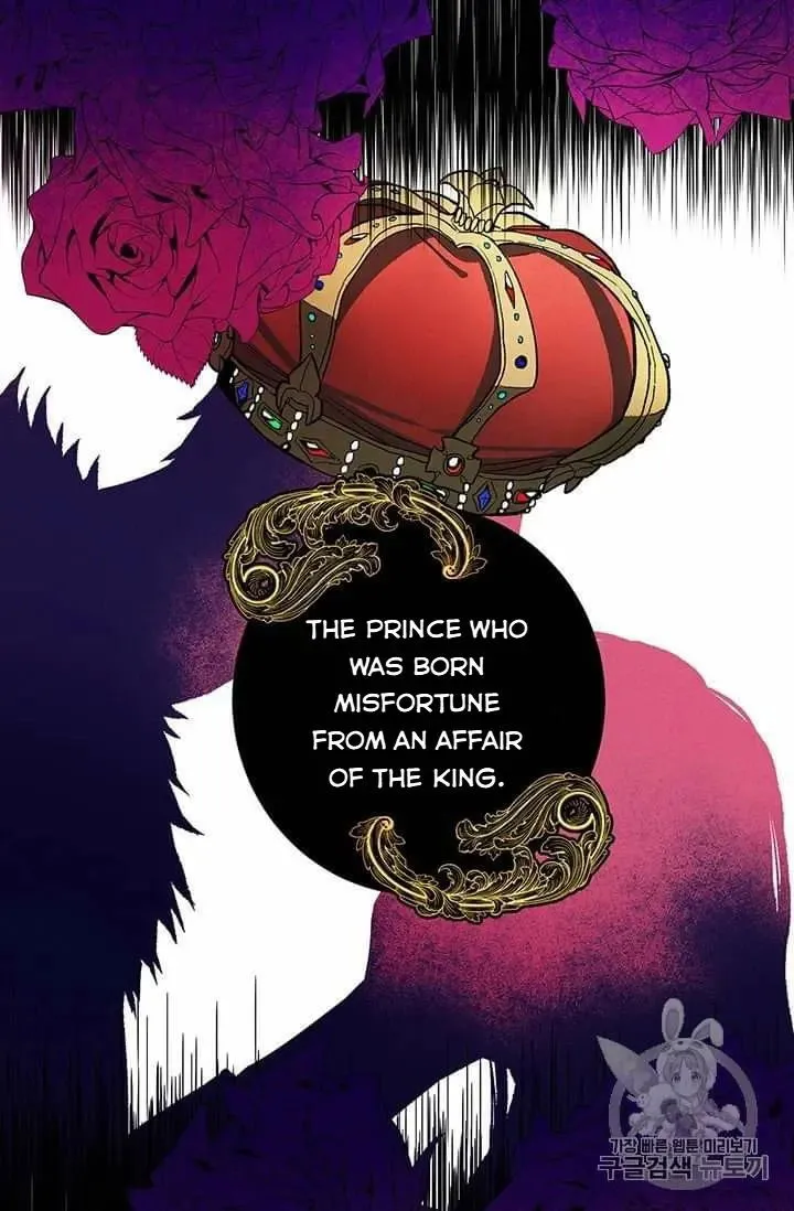 Royal Shop of Young Lady Chapter 20.5 Online - página 14