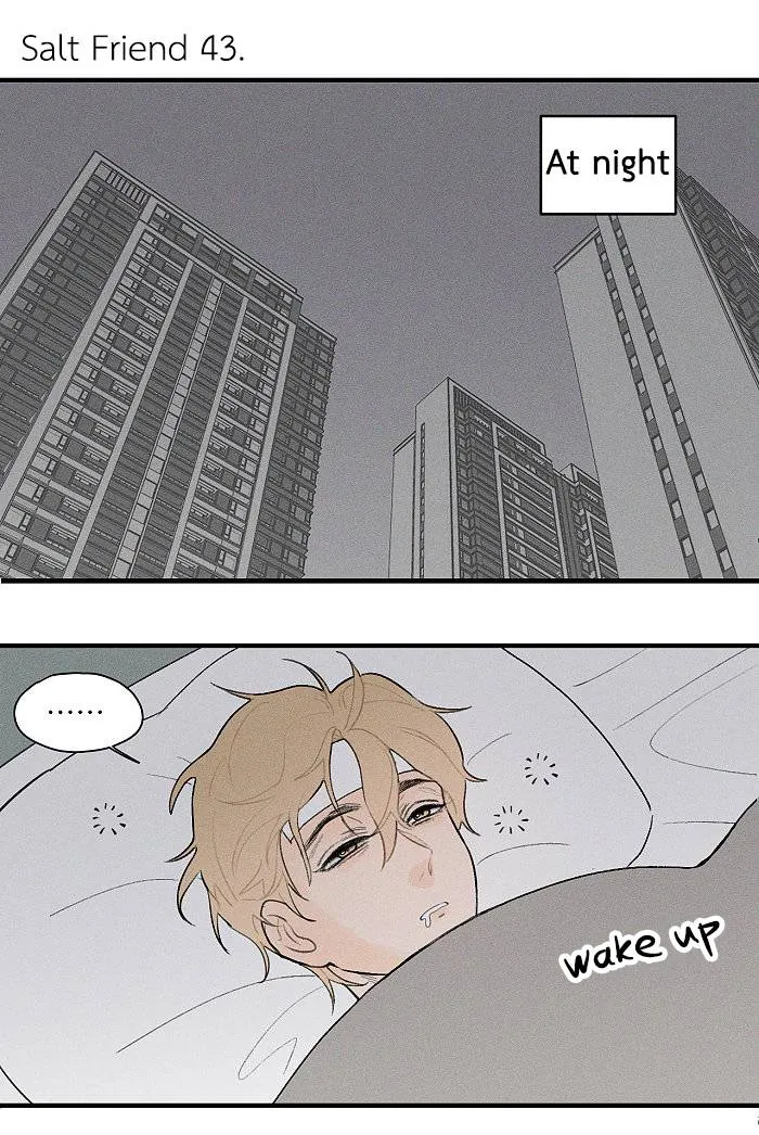 Salt Friend Chapter 43 Online - página 1