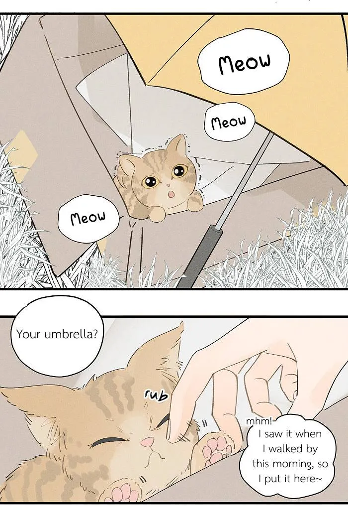 Salt Friend Chapter 46 Online - página 6