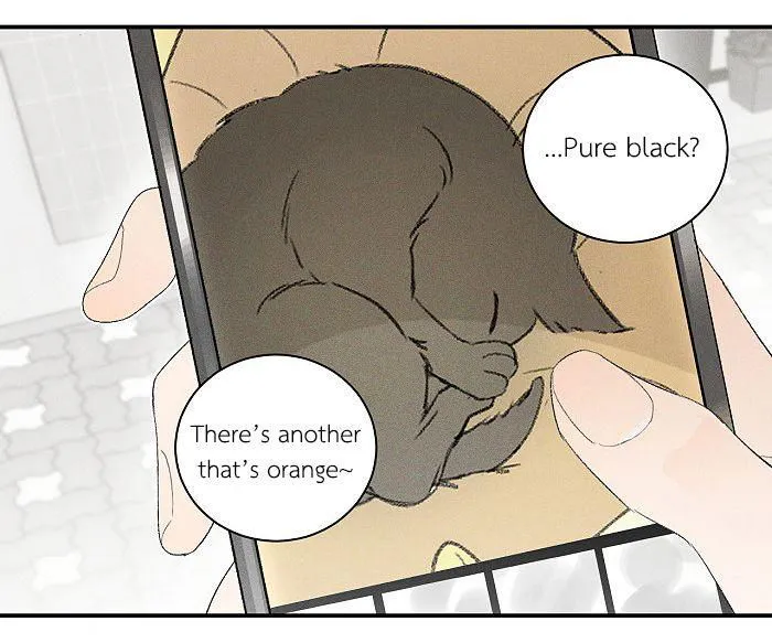 Salt Friend Chapter 59 Online - página 4