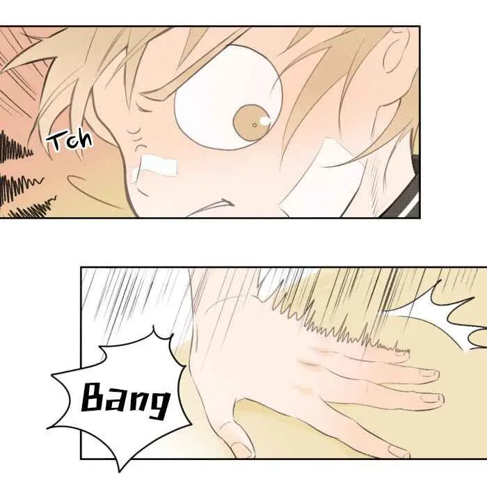 Salt Friend Chapter 9 Online - página 3
