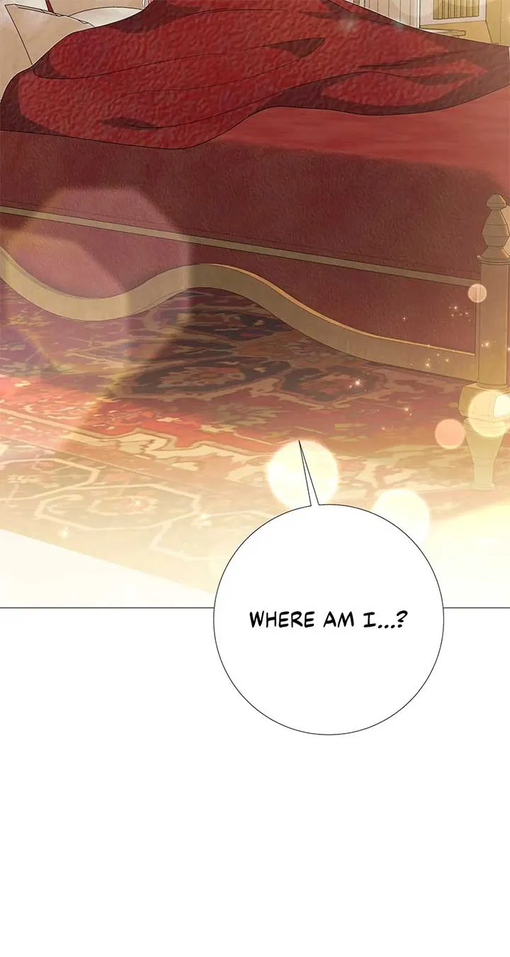 Savage Castle Chapter 24 Online - página 11