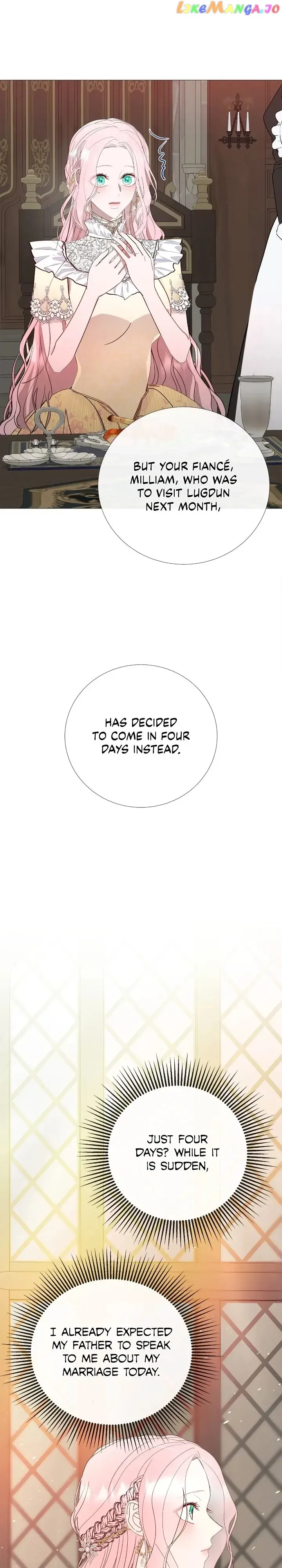 Savage Castle Chapter 4 Online - página 24