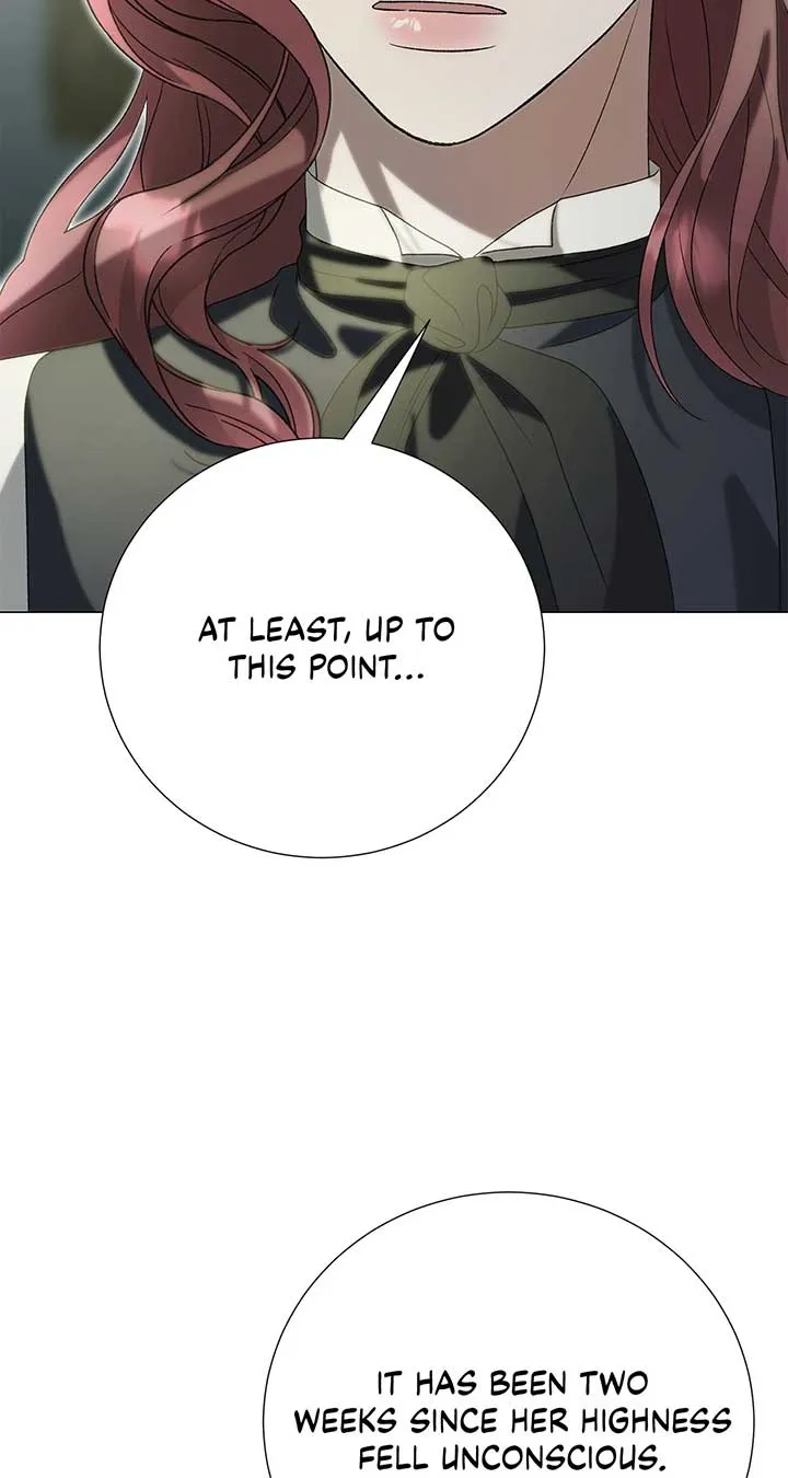 Savage Castle Chapter 64 Online - página 25