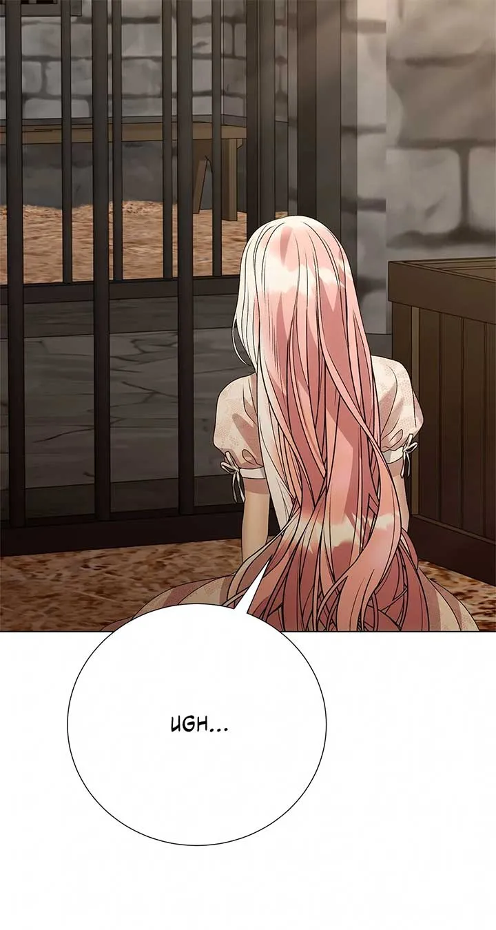 Savage Castle Chapter 76 Online - página 33