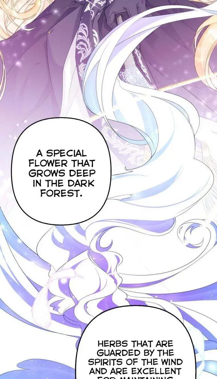 Say the spell, Rose! Chapter 2 Online - página 13