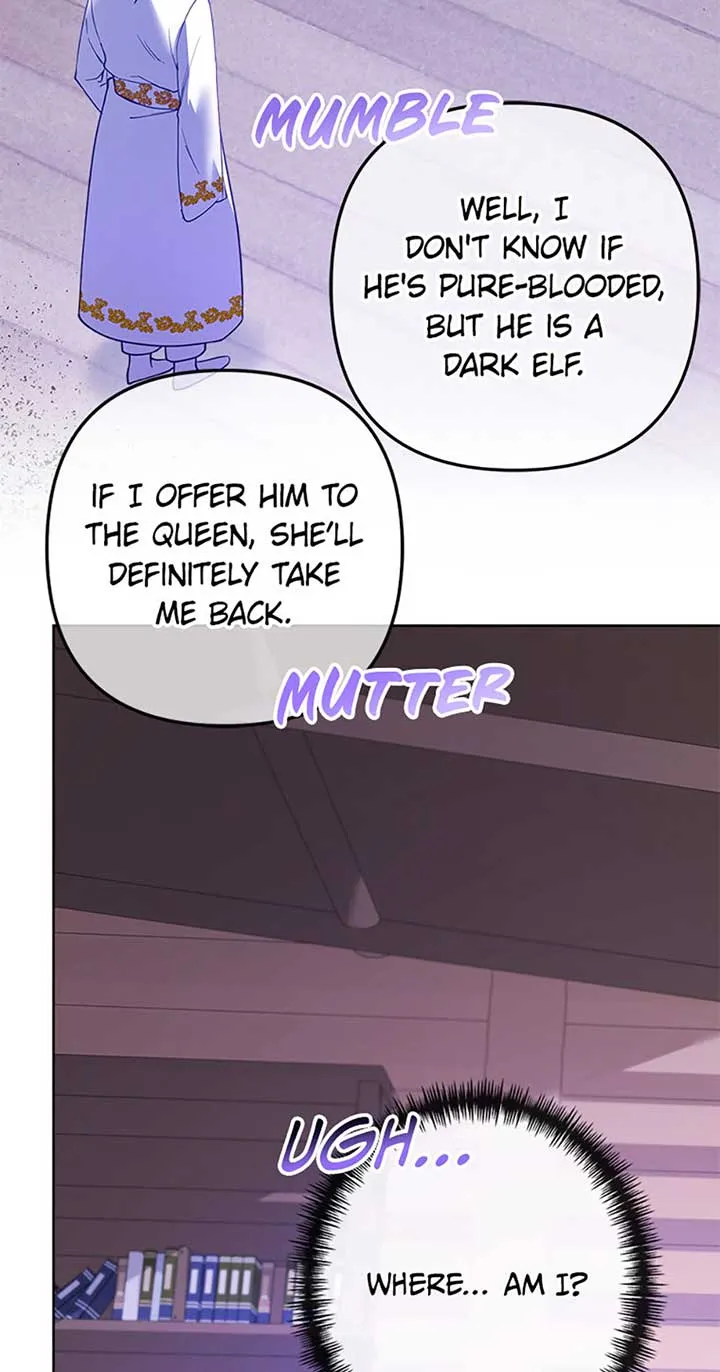 Say the spell, Rose! Chapter 23 Online - página 41