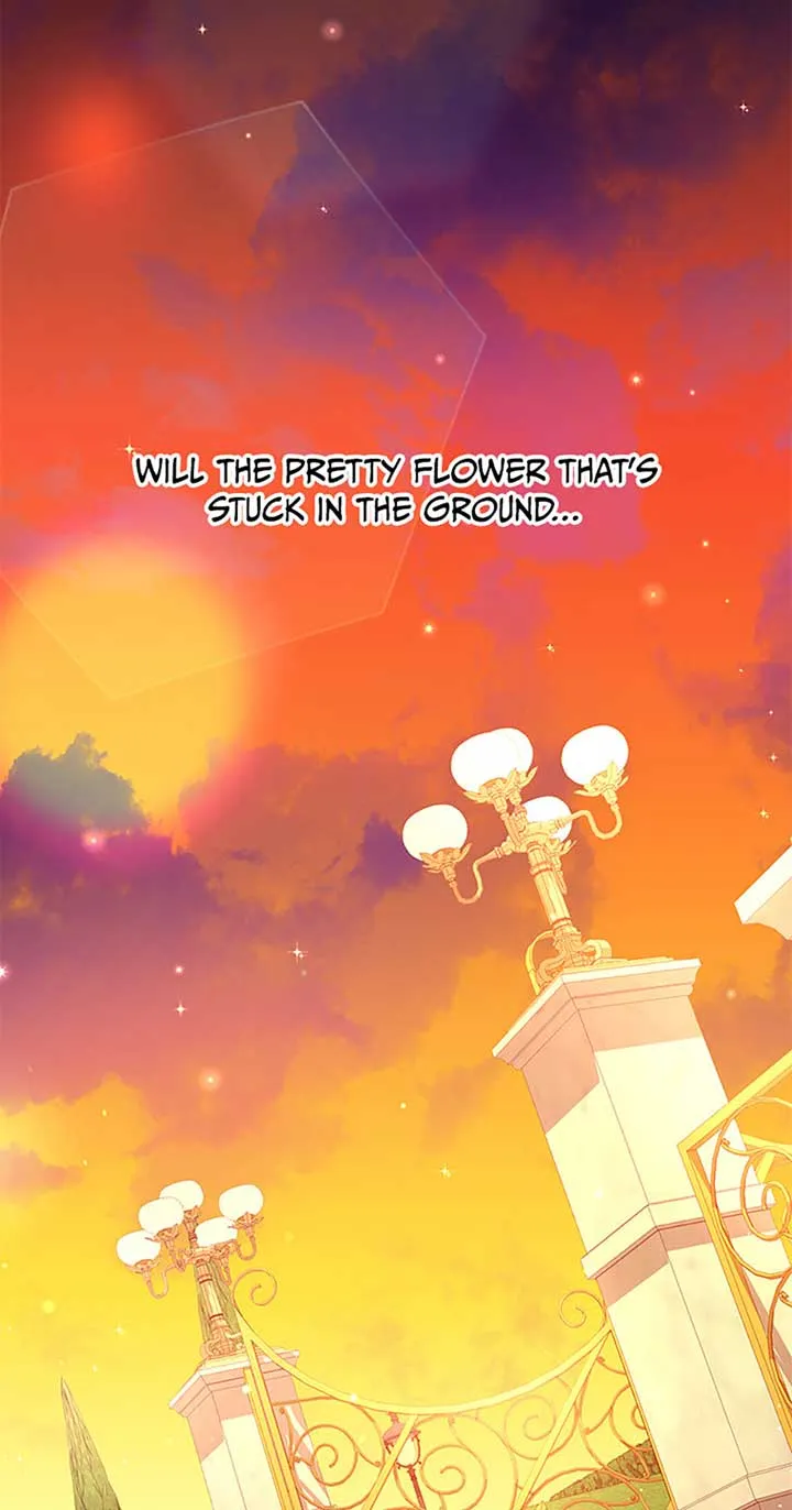 Say the spell, Rose! Chapter 33 Online - página 71