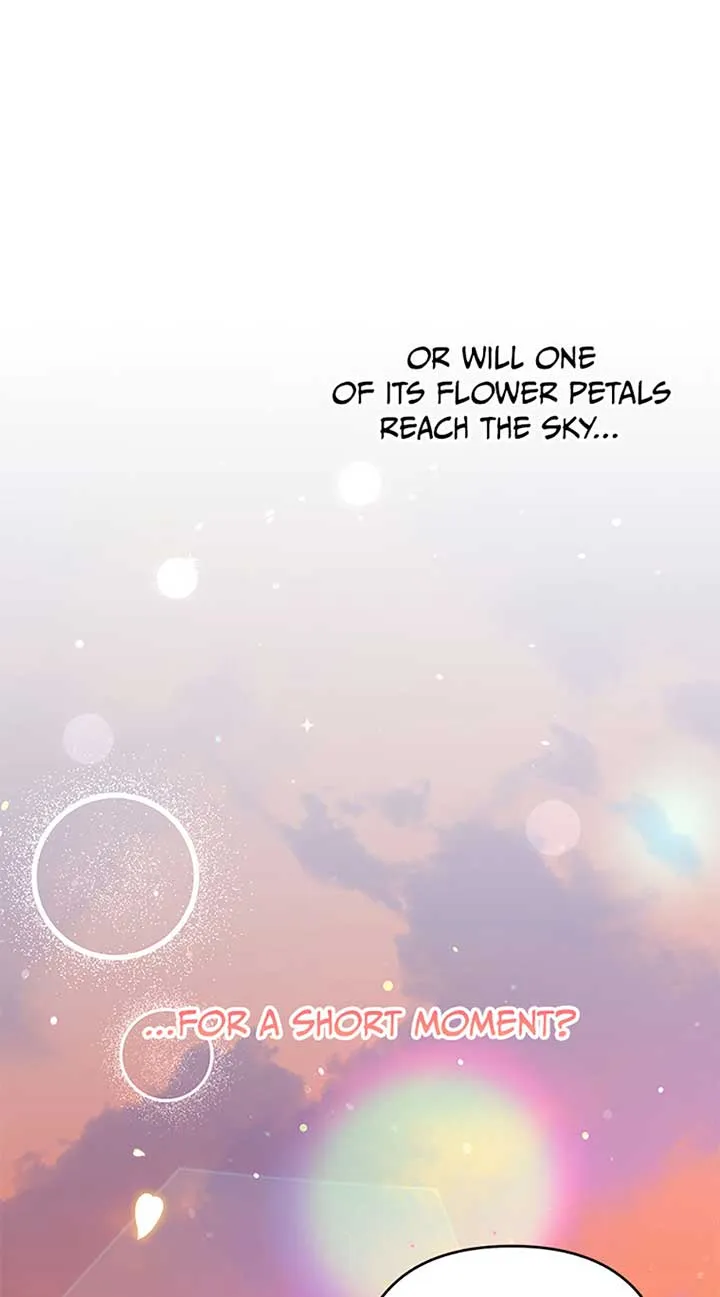 Say the spell, Rose! Chapter 33 Online - página 74