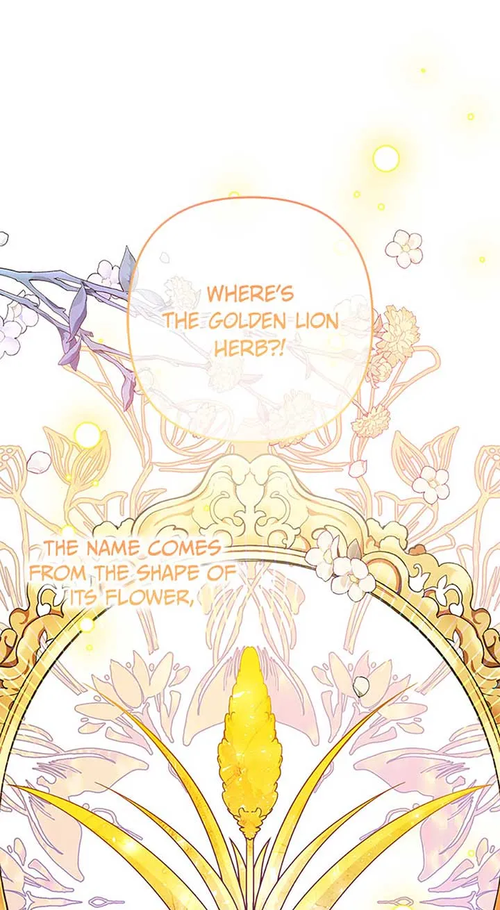 Say the spell, Rose! Chapter 34 Online - página 11