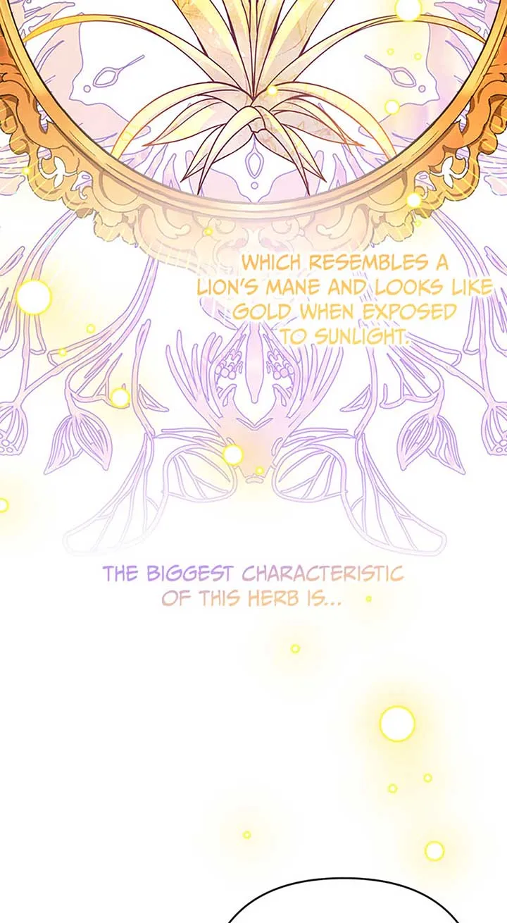 Say the spell, Rose! Chapter 34 Online - página 12