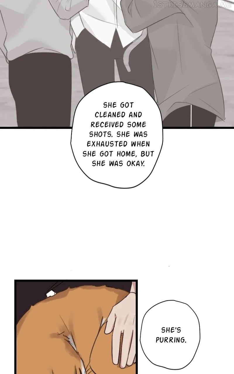 Seven Years Later Chapter 48 Online - página 37