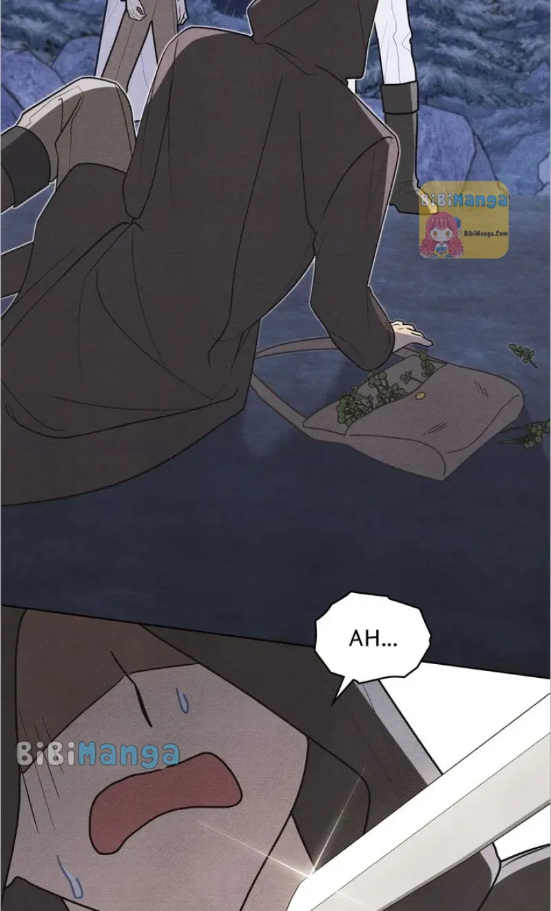 Shall We Bathe, Your Grace? Chapter 33 Online - página 13