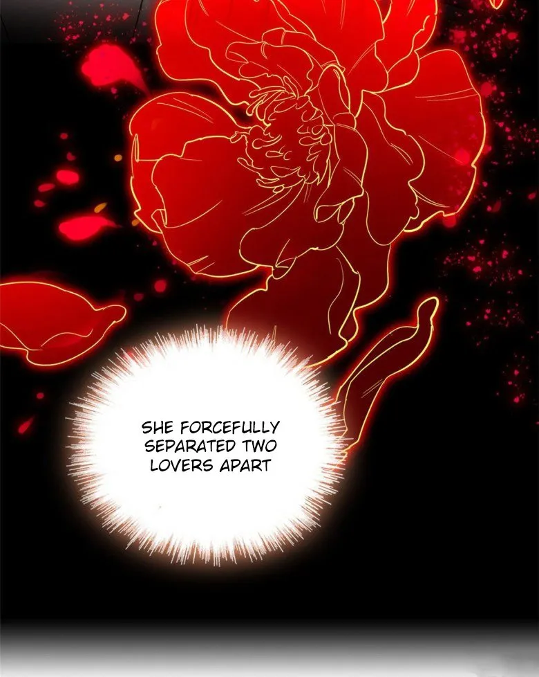 Sijin Chapter 116.5 Online - página 14