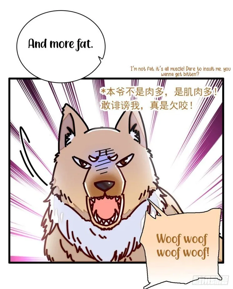 Sijin Chapter 215 Online - página 4
