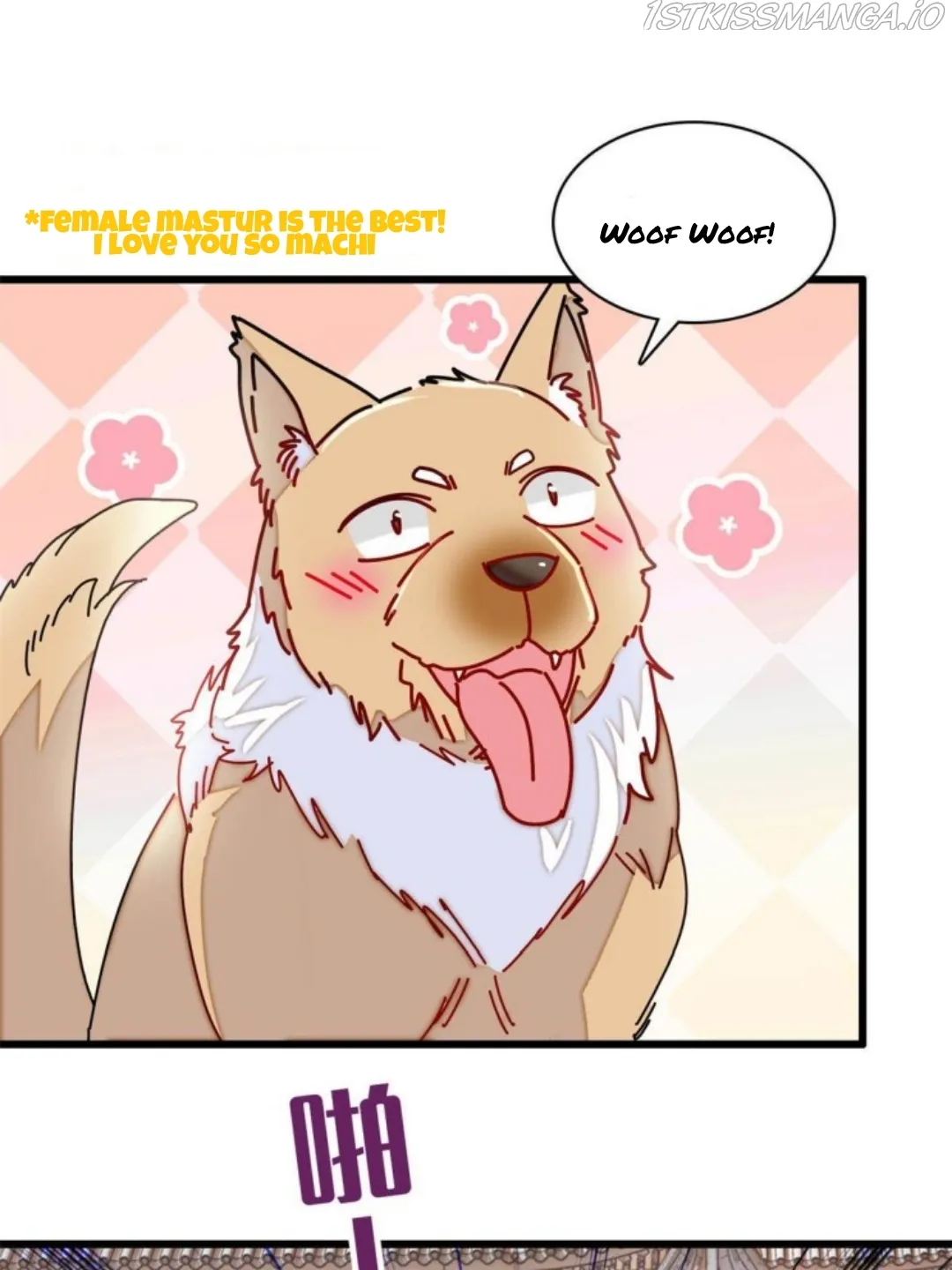 Sijin Chapter 229.5 Online - página 17