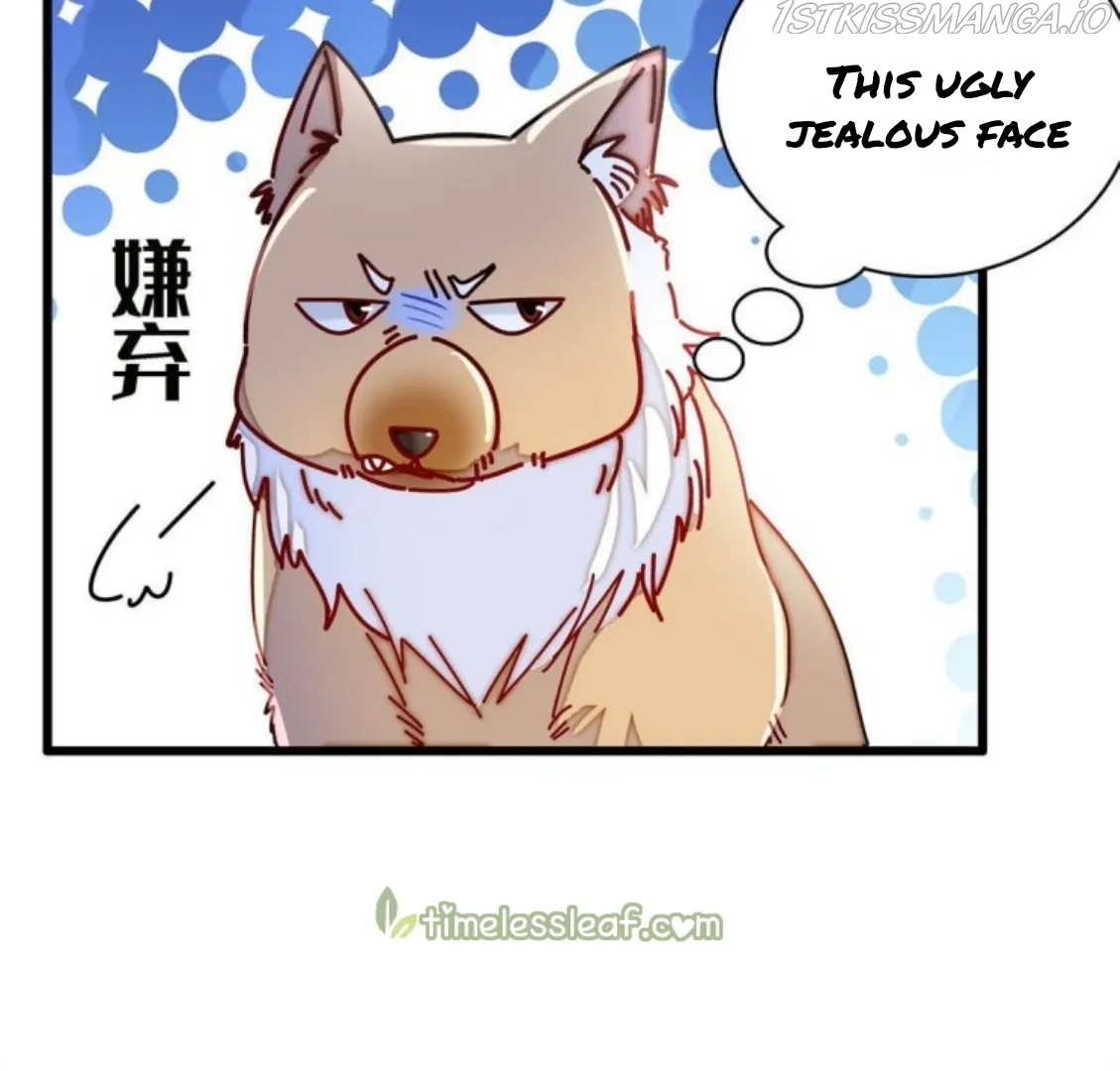 Sijin Chapter 229.5 Online - página 19