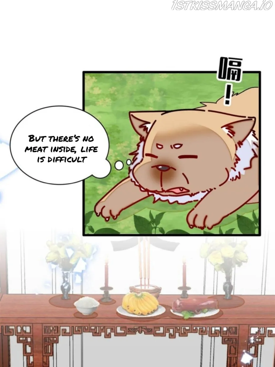 Sijin Chapter 231.5 Online - página 13