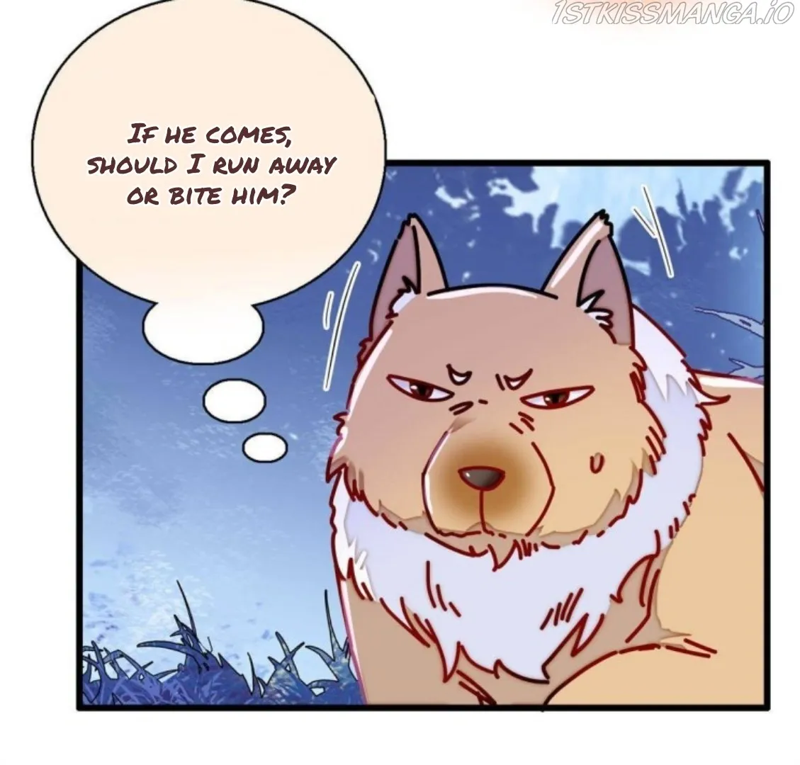 Sijin Chapter 234.5 Online - página 12