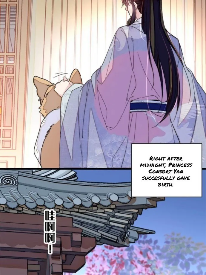 Sijin Chapter 236 Online - página 6