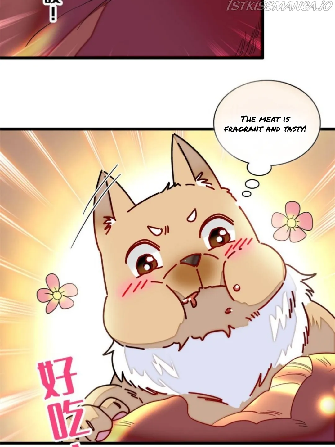 Sijin Chapter 237.5 Online - página 5