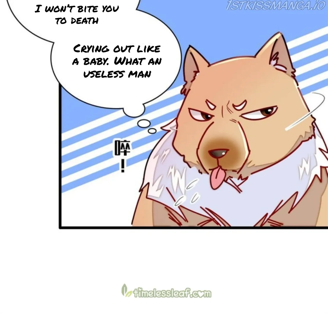 Sijin Chapter 237.5 Online - página 18