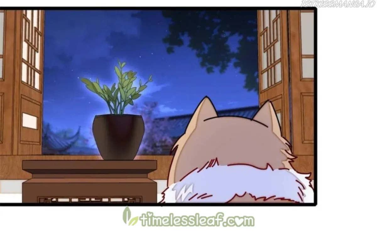 Sijin Chapter 257.5 Online - página 9