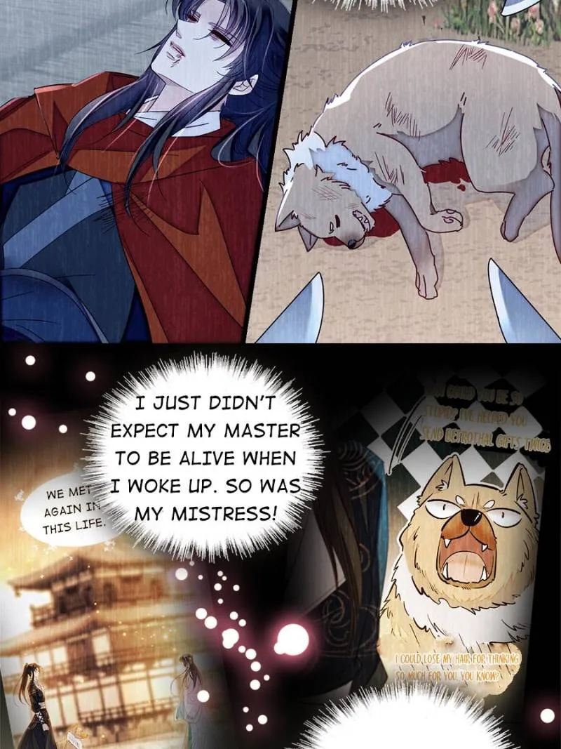 Sijin Chapter 388 Online - página 42