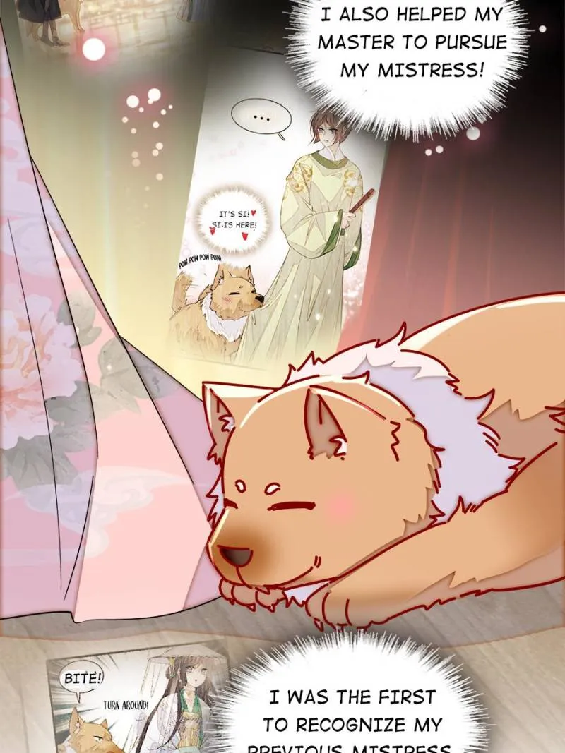 Sijin Chapter 388 Online - página 43