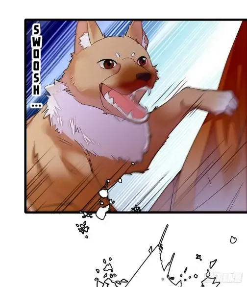 Sijin Chapter 74 Online - página 12