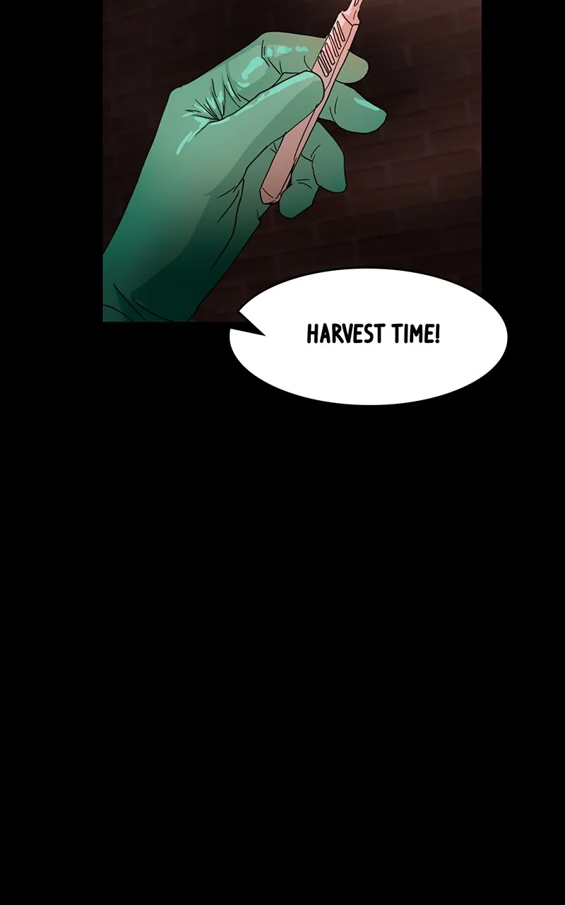 Simon Sues Chapter 88 Online - página 11