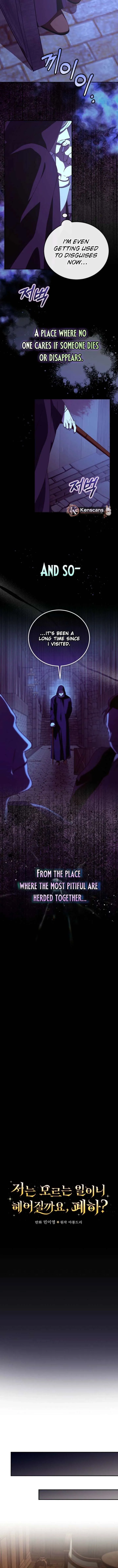 Since I Don’t Remember Anything About It, Shall We Break Up, Your Majesty? Chapter 45 Online - página 8