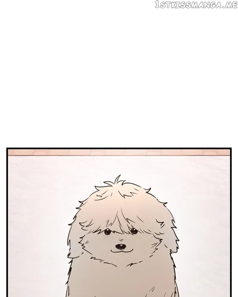 Single Wizard’s Dormitory Apartment Chapter 11 Online - página 104