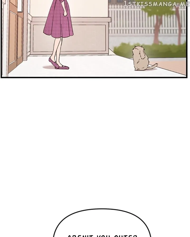 Single Wizard’s Dormitory Apartment Chapter 11 Online - página 107