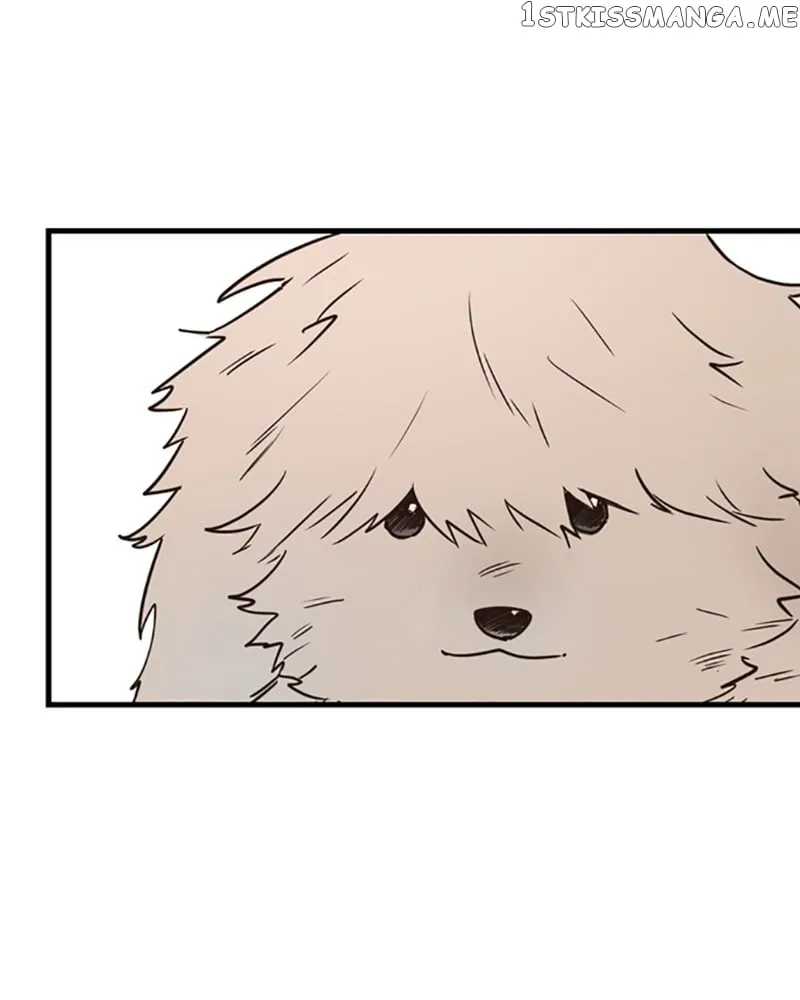 Single Wizard’s Dormitory Apartment Chapter 11 Online - página 109