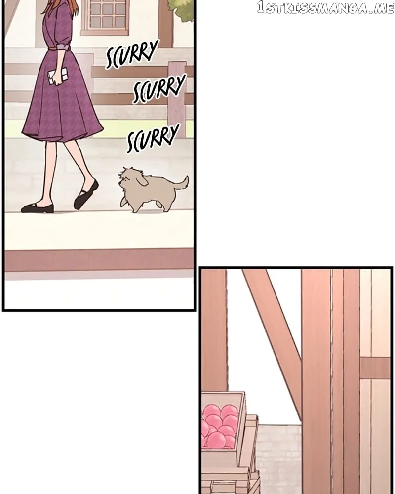 Single Wizard’s Dormitory Apartment Chapter 11 Online - página 111
