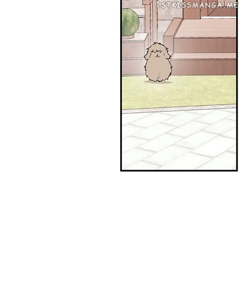 Single Wizard’s Dormitory Apartment Chapter 11 Online - página 112