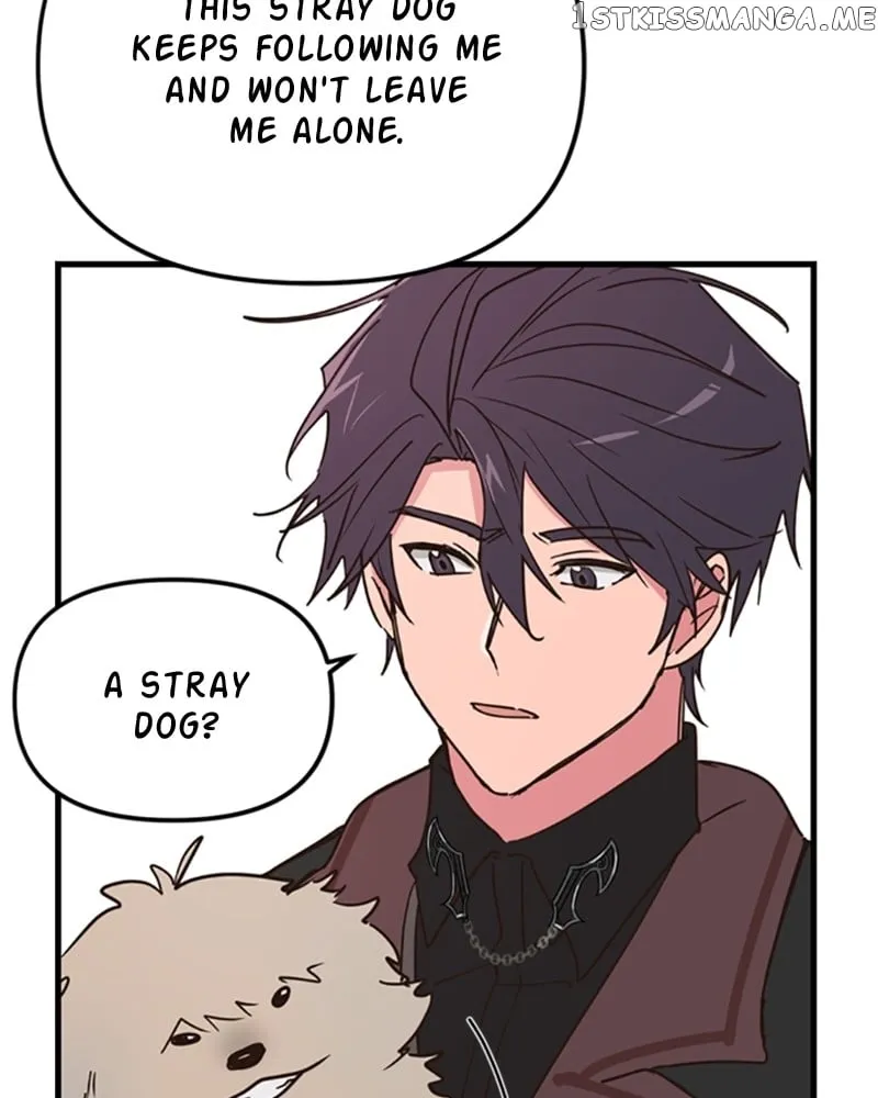 Single Wizard’s Dormitory Apartment Chapter 11 Online - página 121