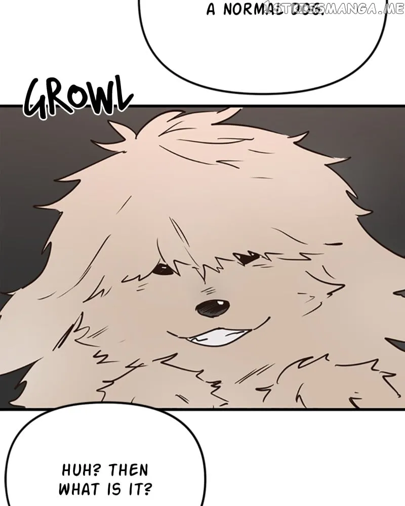 Single Wizard’s Dormitory Apartment Chapter 11 Online - página 123