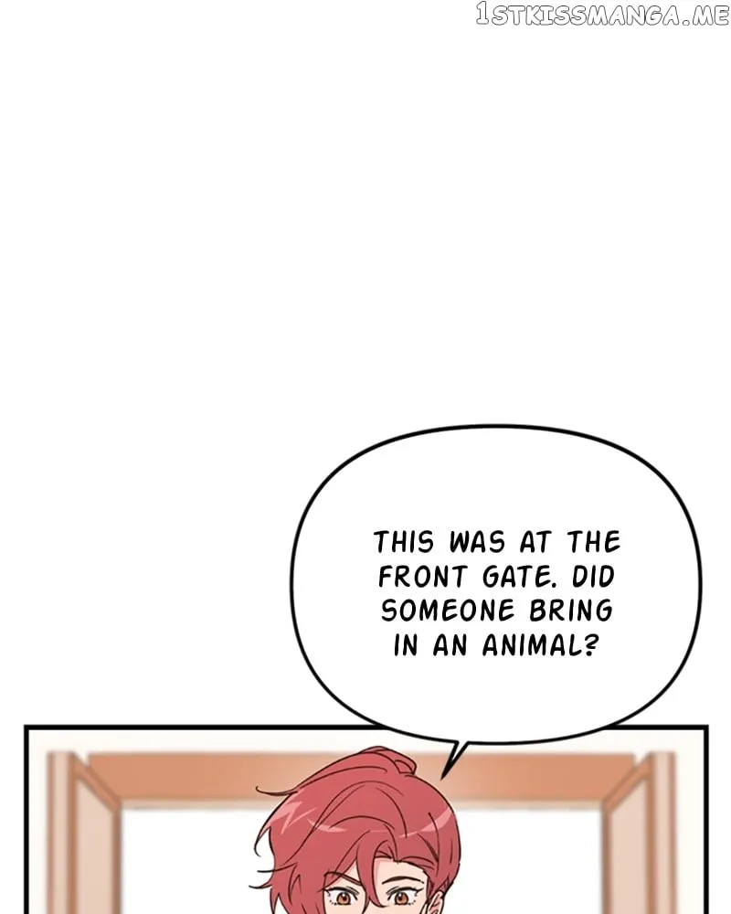 Single Wizard’s Dormitory Apartment Chapter 11 Online - página 126