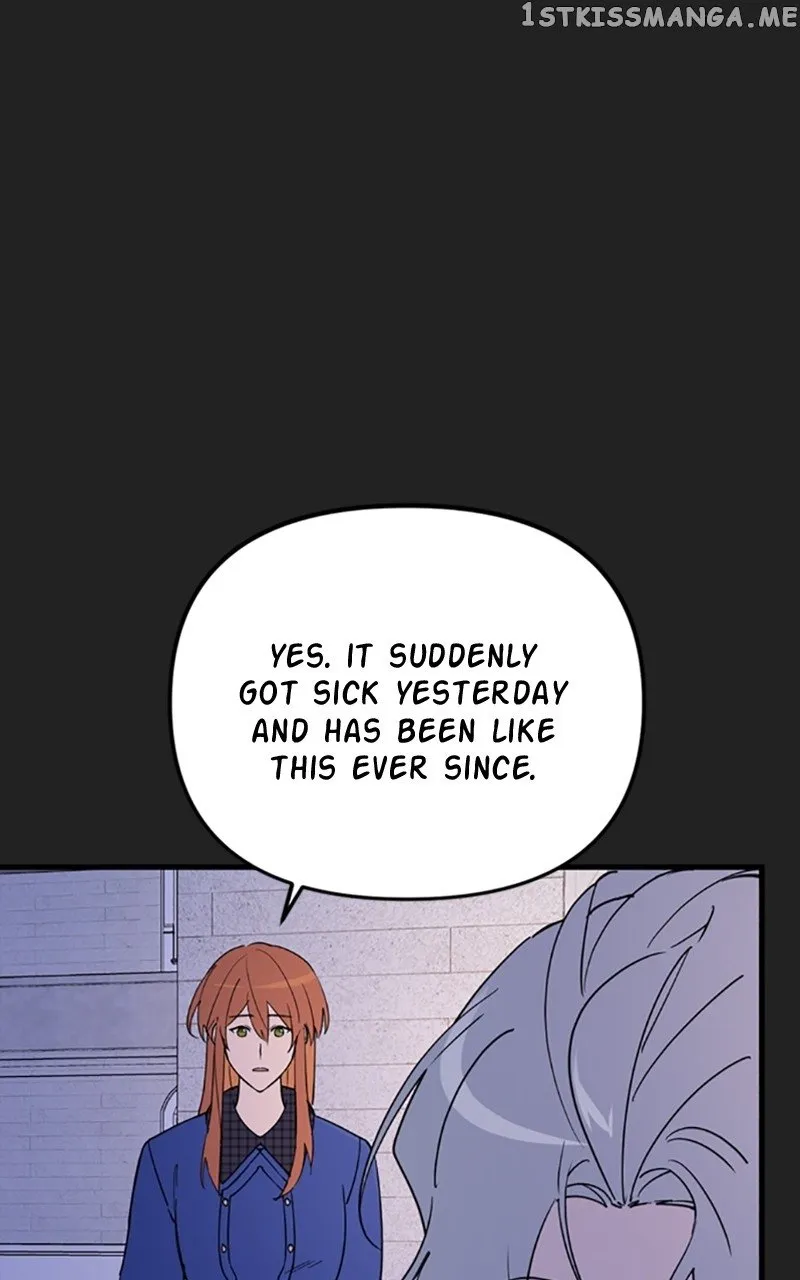 Single Wizard’s Dormitory Apartment Chapter 14 Online - página 29