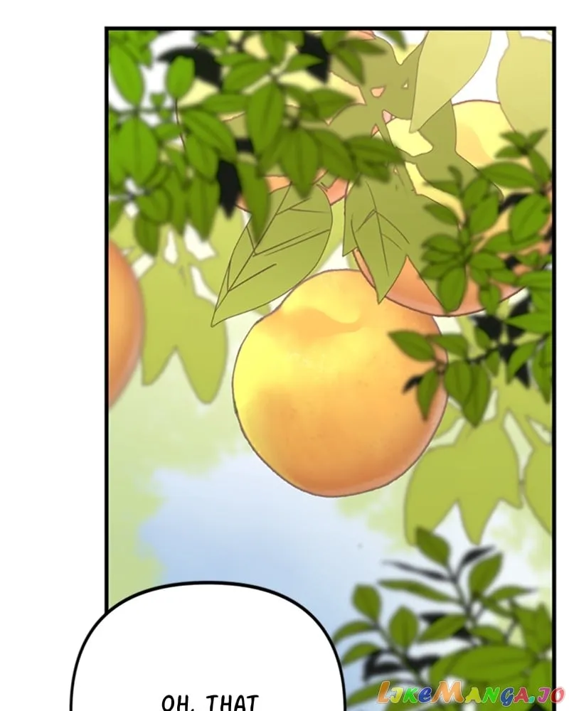 Single Wizard’s Dormitory Apartment Chapter 24 Online - página 28