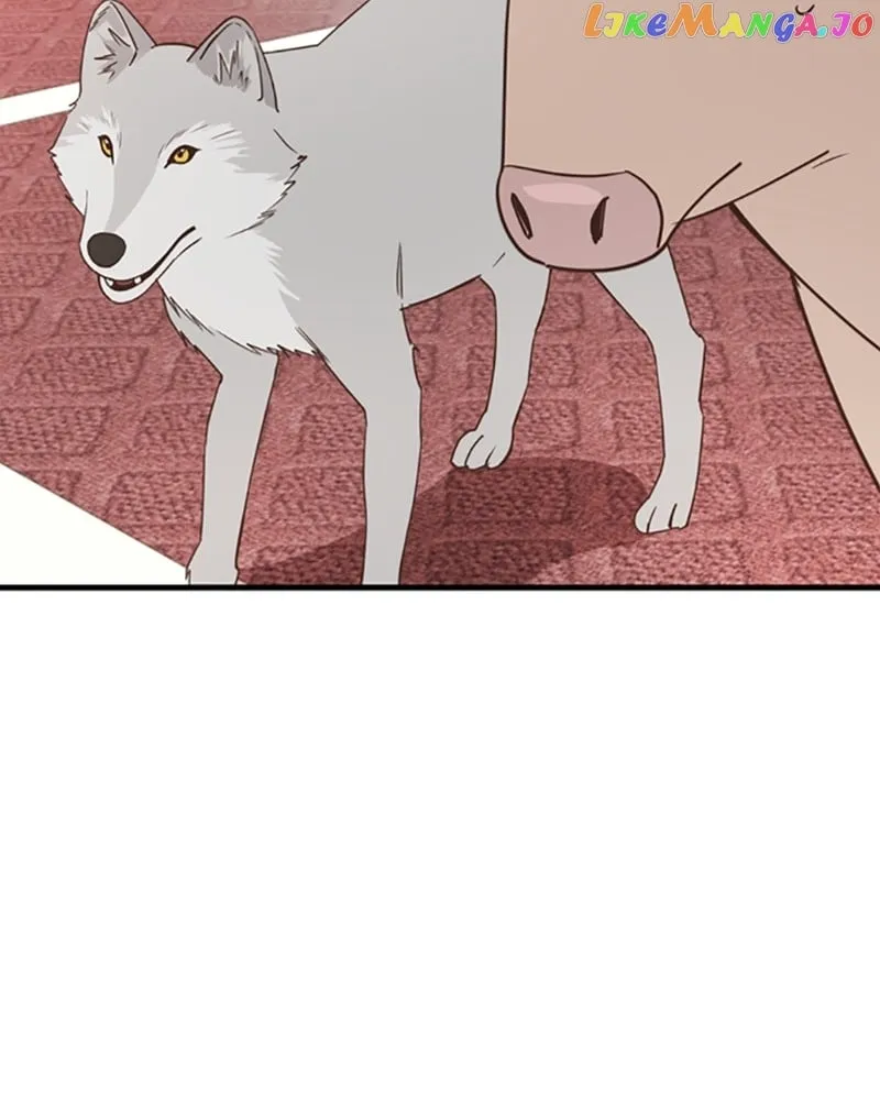 Single Wizard’s Dormitory Apartment Chapter 26 Online - página 62
