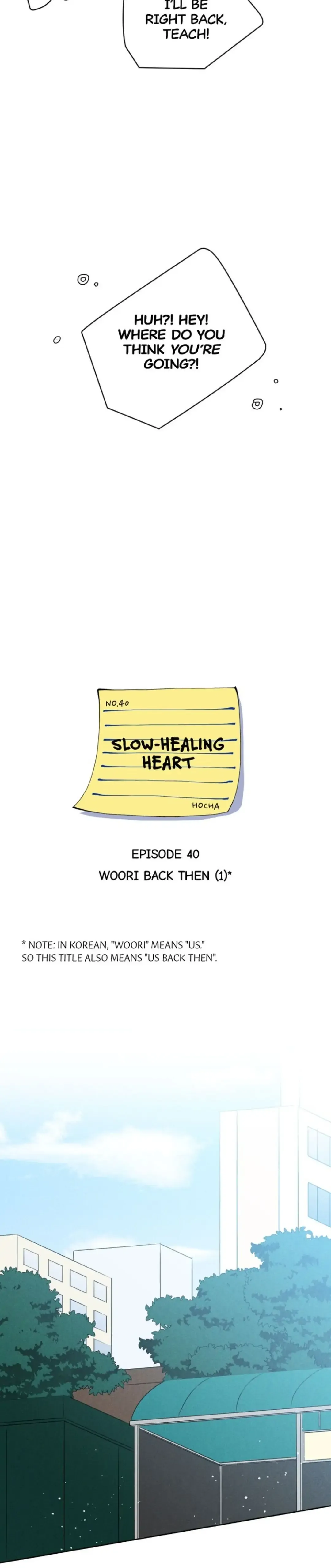 Slow-Healing Heart Chapter 40 Online - página 14