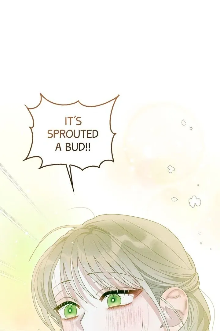 Sorang’s Flower Art Shop Chapter 15 Online - página 7