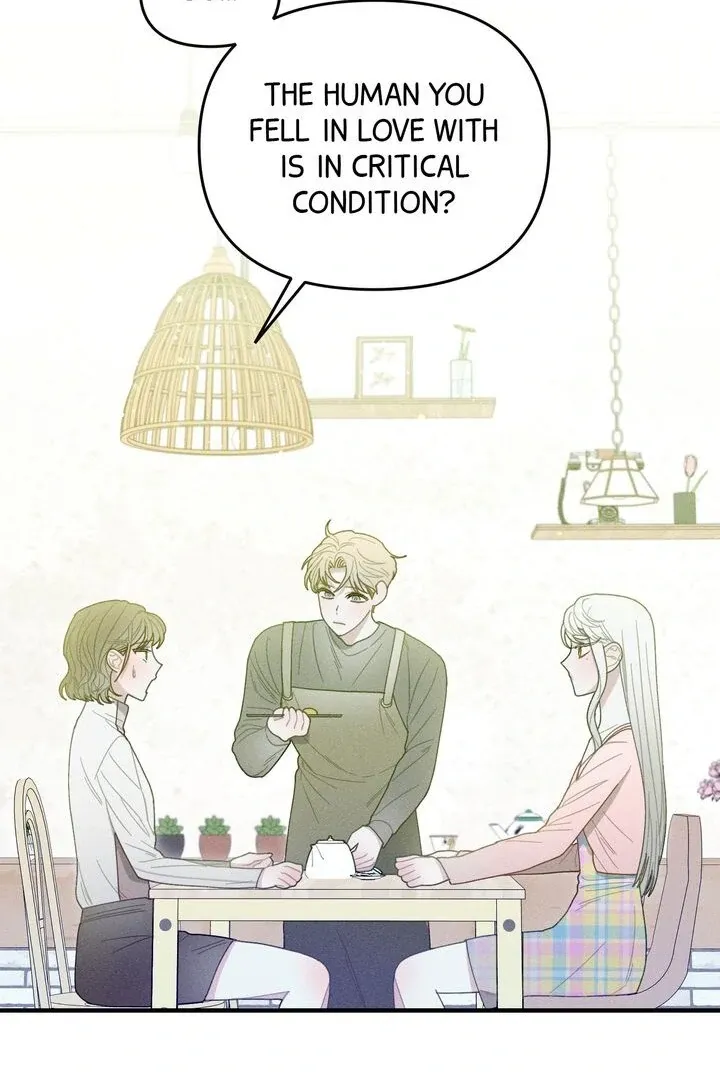 Sorang’s Flower Art Shop Chapter 24 Online - página 13