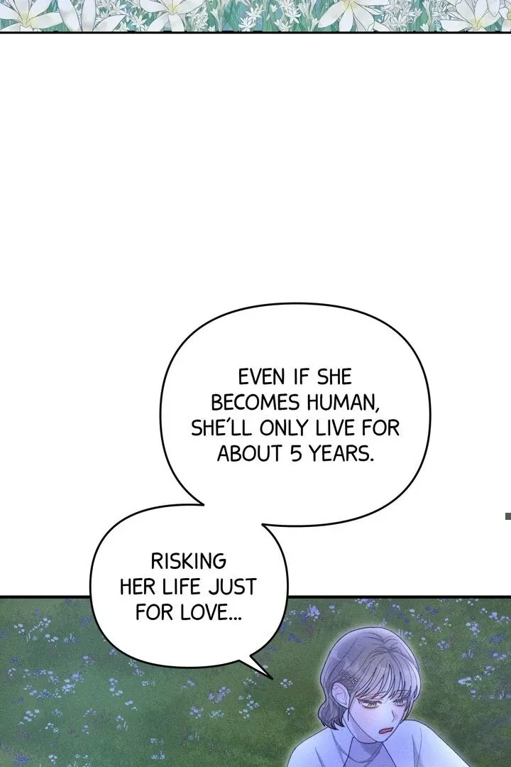 Sorang’s Flower Art Shop Chapter 24 Online - página 62