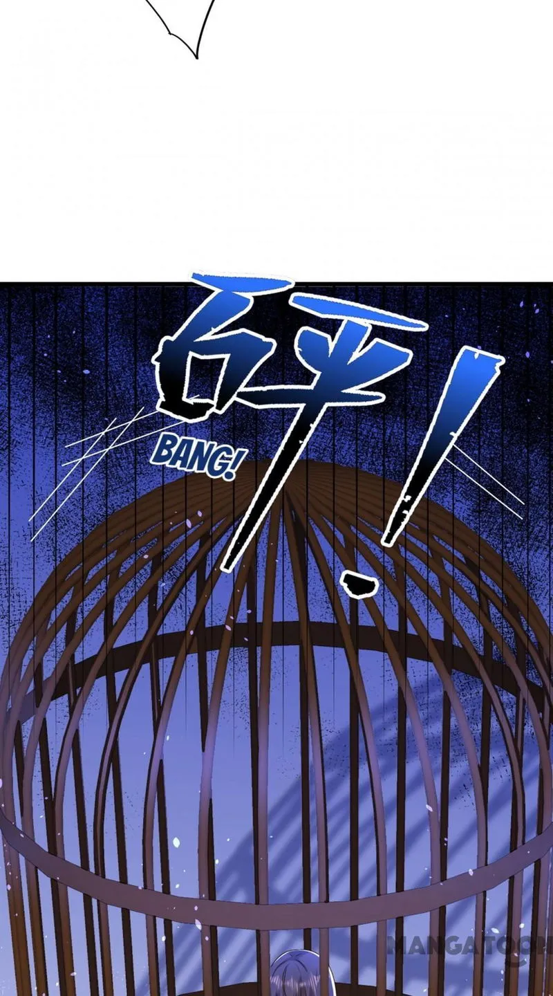 Spicy Wife’s Reborn World Chapter 178 Online - página 49